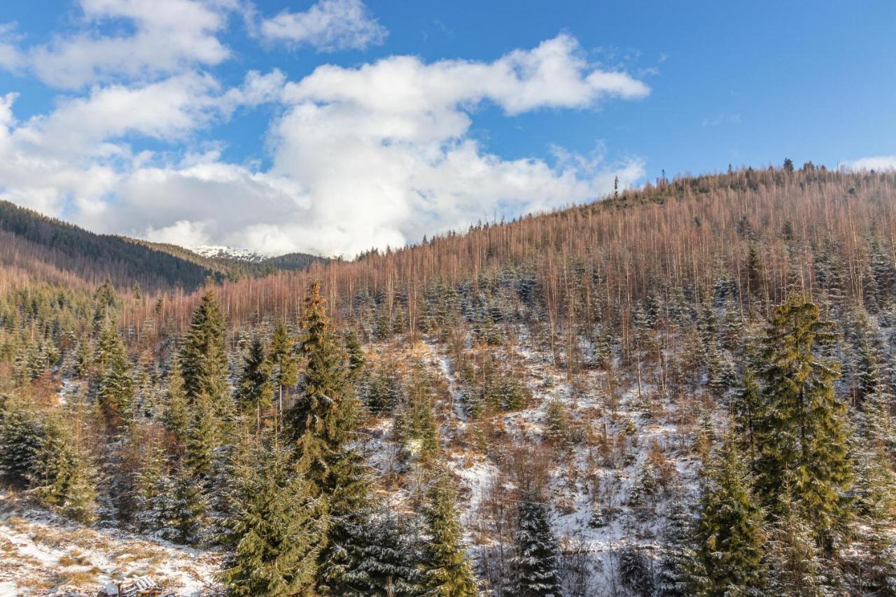 Konopka Forest Home & Spa Буковел Екстериор снимка