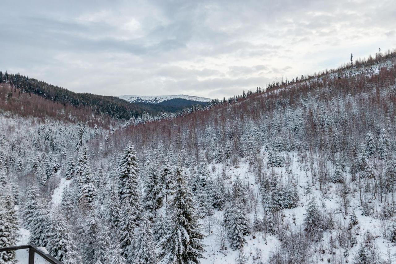 Konopka Forest Home & Spa Буковел Екстериор снимка